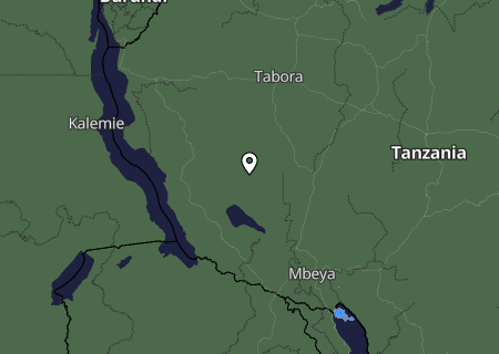 Niederschlagsprognose