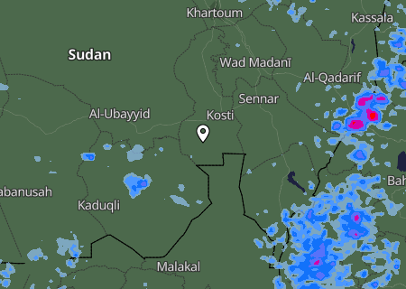 Niederschlagsprognose
