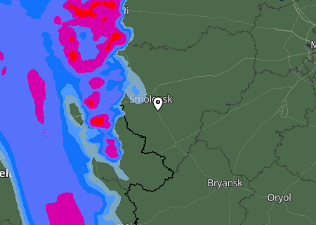 Niederschlagsprognose