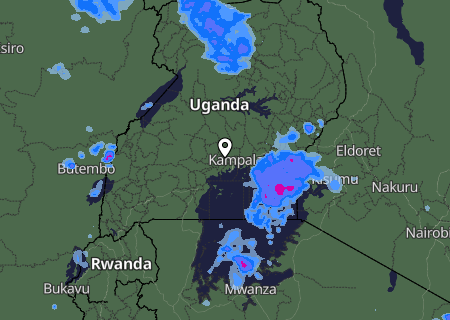 Niederschlagsprognose