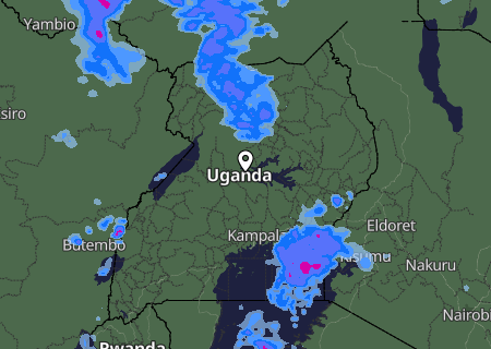 Niederschlagsprognose