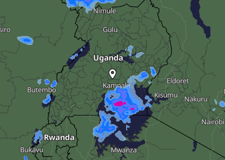 Niederschlagsprognose