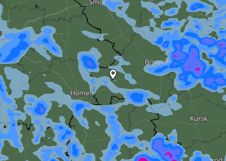 Niederschlagsprognose