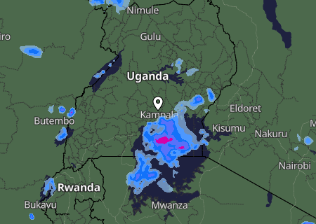 Niederschlagsprognose
