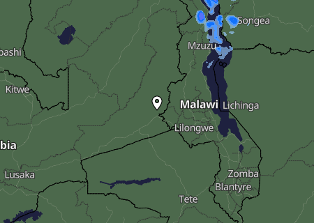 Niederschlagsprognose