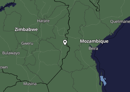 Niederschlagsprognose