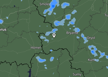 Niederschlagsprognose