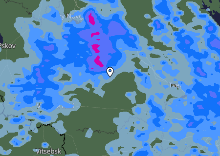 Niederschlagsprognose