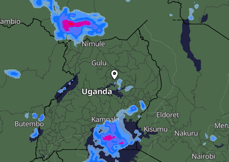 Niederschlagsprognose