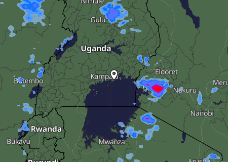 Niederschlagsprognose
