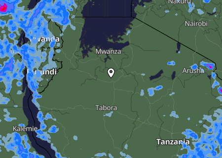Niederschlagsprognose
