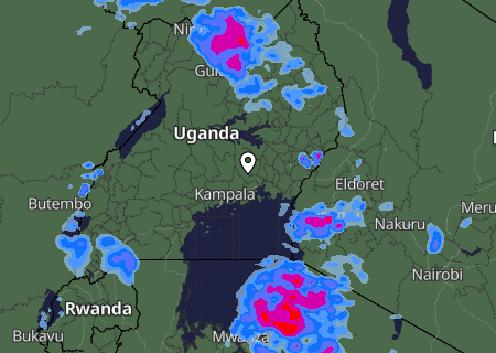 Niederschlagsprognose