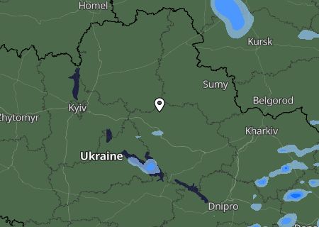 Niederschlagsprognose