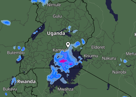 Niederschlagsprognose
