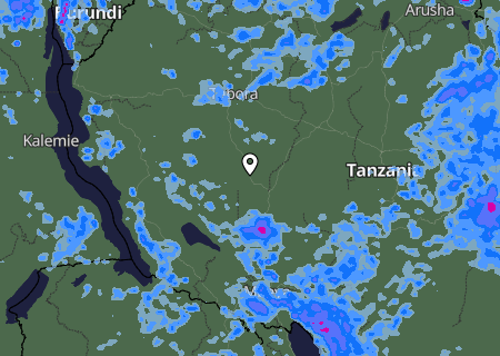 Niederschlagsprognose