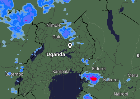 Niederschlagsprognose