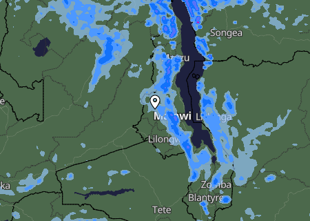 Niederschlagsprognose