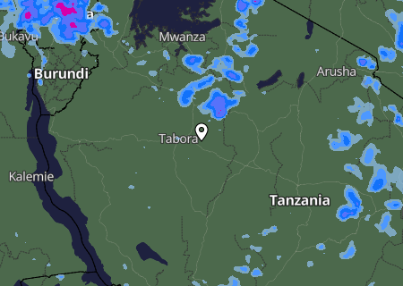 Niederschlagsprognose