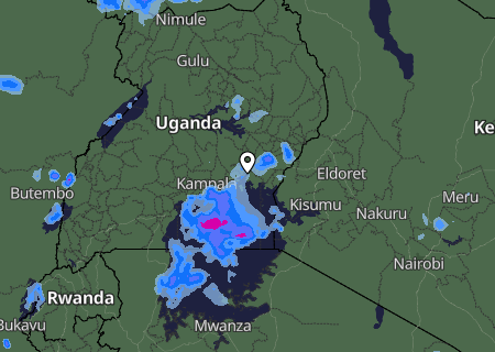 Niederschlagsprognose