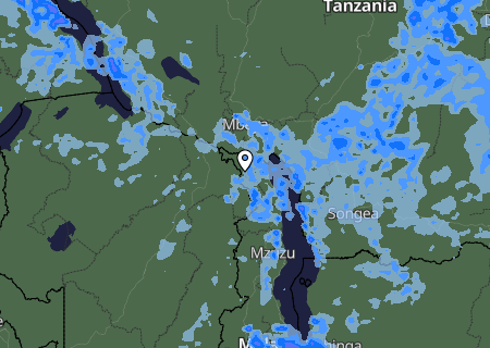 Niederschlagsprognose Niederschlagsprognose