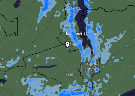 Niederschlagsprognose