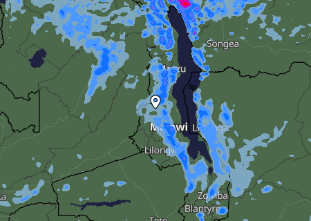 Niederschlagsprognose