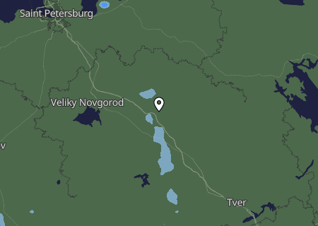 Niederschlagsprognose