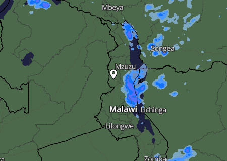Niederschlagsprognose Niederschlagsprognose