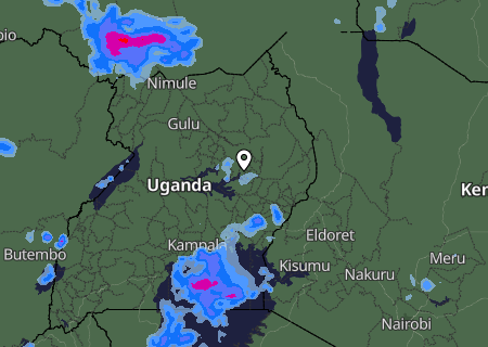 Niederschlagsprognose