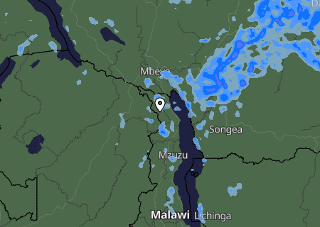 Niederschlagsprognose