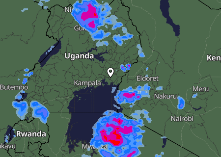 Niederschlagsprognose
