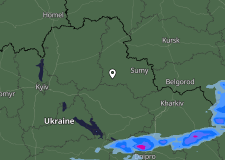 Niederschlagsprognose