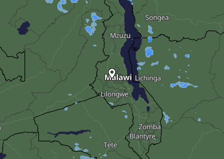 Niederschlagsprognose