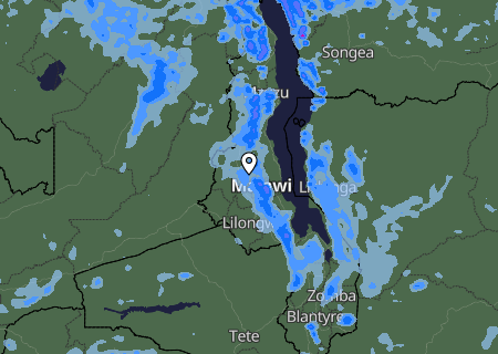 Niederschlagsprognose