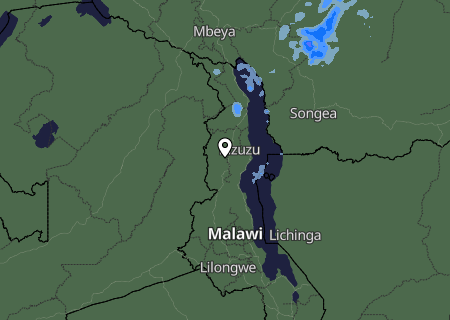 Niederschlagsprognose
