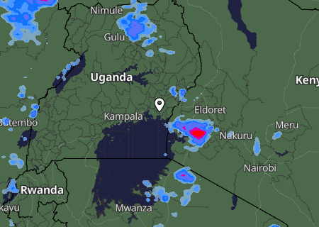 Niederschlagsprognose