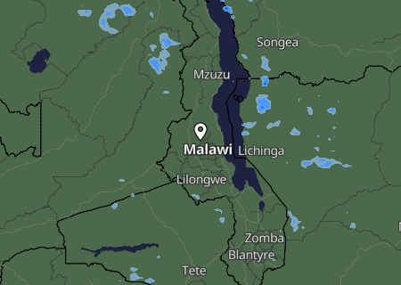 Niederschlagsprognose