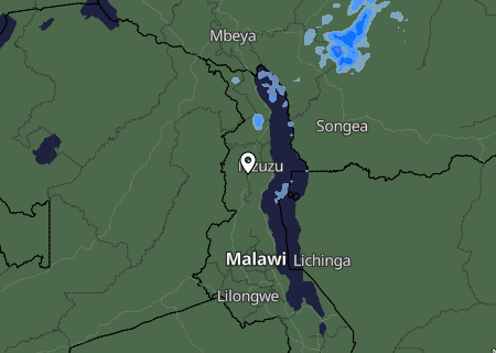 Niederschlagsprognose