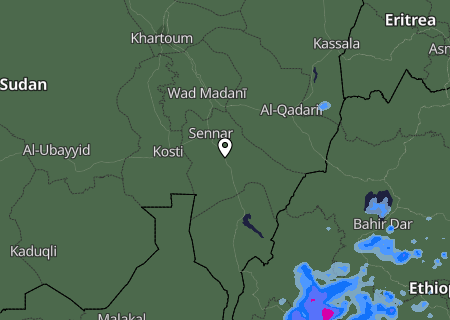 Niederschlagsprognose