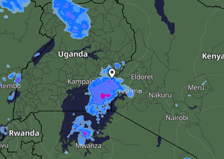 Niederschlagsprognose