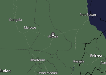 Niederschlagsprognose