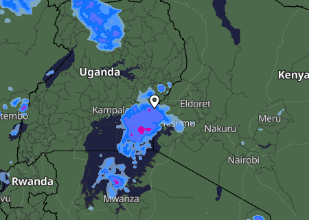 Niederschlagsprognose