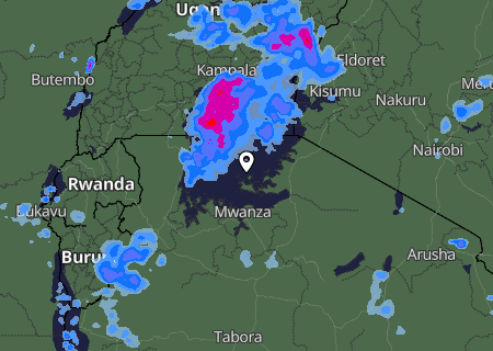 Niederschlagsprognose