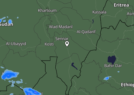 Niederschlagsprognose