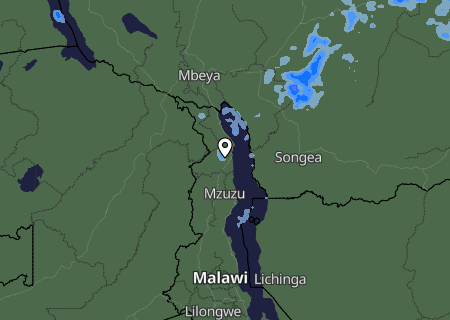 Niederschlagsprognose