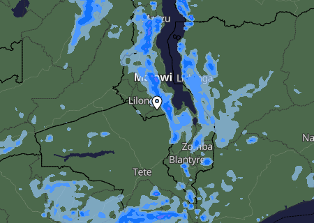 Niederschlagsprognose
