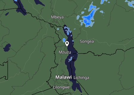 Niederschlagsprognose
