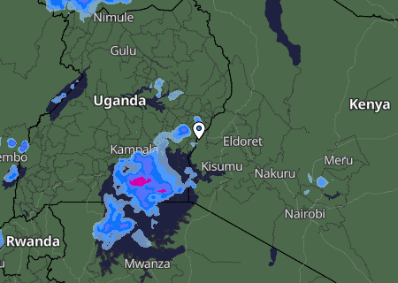 Niederschlagsprognose