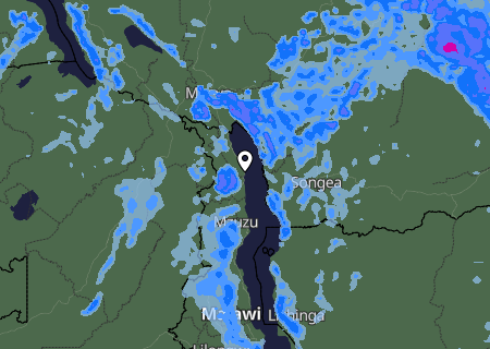 Niederschlagsprognose