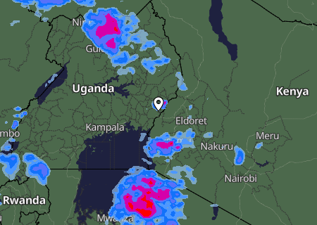 Niederschlagsprognose